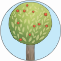 cropped-Baum-f.png